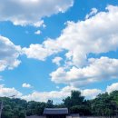 하늘종묘 이미지