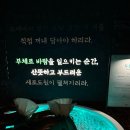 [압구정] 서울 이색데이트 새로도원 팝업스토어 흑백요리사 콜라보 다이닝 내돈내산 후기, 예약