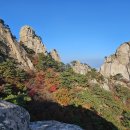 에덴동산 이미지