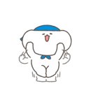 퓨어카