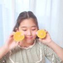 유현농장 이미지