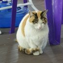 대봉약수터 이미지