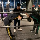 HANBOXING 이미지
