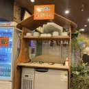 뚱바이춘천집 | 수원 영통 뚱바이 춘전집 닭갈비 내돈내산 후기 (feat.첫눈)