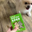 큐펫 | 강아지 관절영양제 추천ㅣ 펫니크 아티큐펫 급여후기