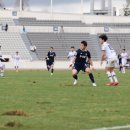 주경기장 잔디구장 이미지