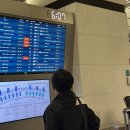 뷰티플 리조트 | 10월 필리핀 보홀 4박 5일 여행 (모달라 리조트, 모이디토몰, 우베코, JNP다이빙센터 스노쿨링, 모달라...