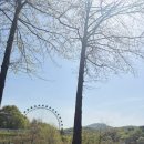 목마송이 | [에버랜드] T멤버쉽 할인과 토요일 주차장 후기 &amp; 오레오 츄러스, 필링츄 맛집 위치&amp; 도시락 먹기 좋은...