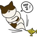 밝은미래산부인과의원 네이버블로그