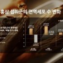 더루트 이미지