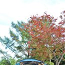 감사의 계절 가을의 문턱 수산아카데미 이미지