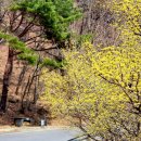 용수리태양광발전소 이미지