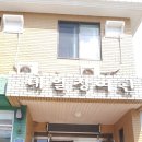 대일장 이미지
