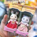 듀얼베이크 | 나고야에서 사 온 기념품 돈키호테 털어온 후기 및 추천템