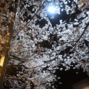 광성여관 이미지