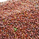 향미농장 이미지