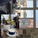 그린루스카 | 2026년 4월 제주 혼여행편🌴(또또분식,그린루스카 카페,전농로) 1편