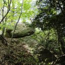 신기경로당 | 신덕정에 살어리랏다