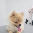 두루미컷 이미지