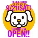 멍빵댕빵 이미지