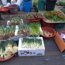 한농종묘농약사 이미지