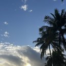 하와이 | 힐튼하와이안 빌리지 [그랜드 와이키키안 힐튼] 하와이 숙소 후기 취사·세탁 총정리! 내돈내산