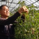 등구농장 이미지