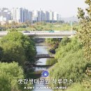 여의도 샛강생태공원 한강공원 주차 정보 후기