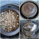 가월가물치 이미지