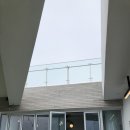 비에노즈 이미지