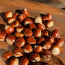 지호농원 이미지