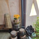 스테이다정 | ​[전북 전주] 아이와 함께 가기 좋은 한옥마을 독채 ‘교동스테이’ 내돈내산 후기