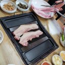 돈호원
