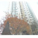 도봉로-6 이미지