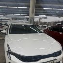 오토렌트카 | 제주도렌트카 내돈내산 제주롯데렌트카 후기