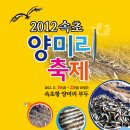 2012년 속초 양미리축제 : 2012. 11. 16 ~ 11. 25 이미지