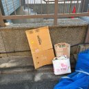 [도시샤 교환학생] 0218~0221_오카자키신사, 소우소우, 금각사, 료안지, 이사!, 우메다, 해유관, 점프샵...