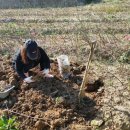 석산농장 이미지