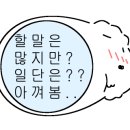 팜팜스테이 이미지