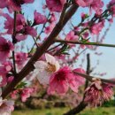 까치울역 2번 출구 이미지