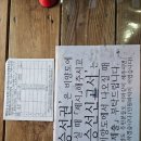 제주 비양도 호니토 | [제주]제주속의 작은섬 배타고15분, 화산섬 "비양도"