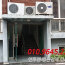 고흥읍 학교길 이미지