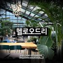 석운로202번길 | 판교 석운동 데이트_브런치 맛집 카페_헬로오드리. helloaudrey | 분당맛집