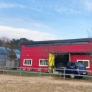 늘푸른어린이공원 화장실 | 철원 늘푸른 체험농장 2박3일 2일차아이를 위한 하루, 캠핑 감성 가득한 행복한 시간