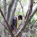 강청농장 이미지