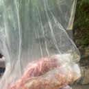 탑플러스마트 | 울산 중구 정육점 탑플러스마트 해주미트 고기가 최고네