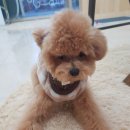 정윤에너지 이미지