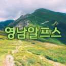 [영남알프스7봉]간월산(1,069m)트레킹 후기 배내고개~배내봉~간월산~선짐이질등~임도길~사슴목장~베내고개(2026년3월20일) 이미지