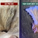 제주식당 이미지