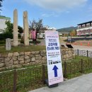 새삶 이미지